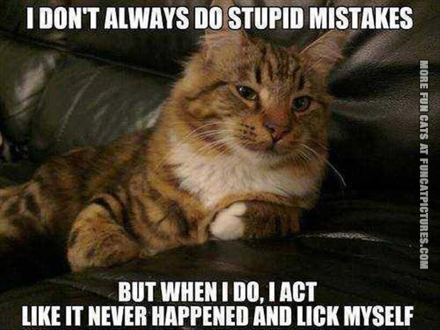 Cat: I don't always do stupid mistakes, but when I do, I act like it never happened and lick myself
