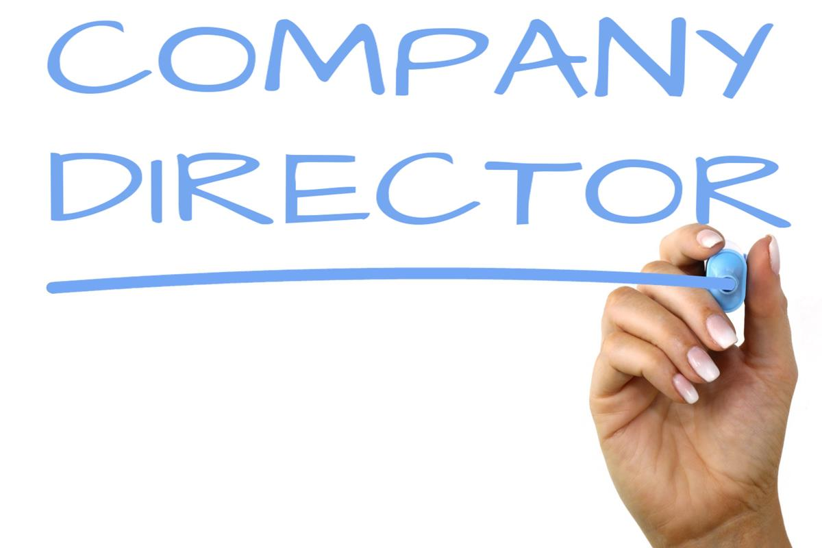 Being a company director – what do you need to know?